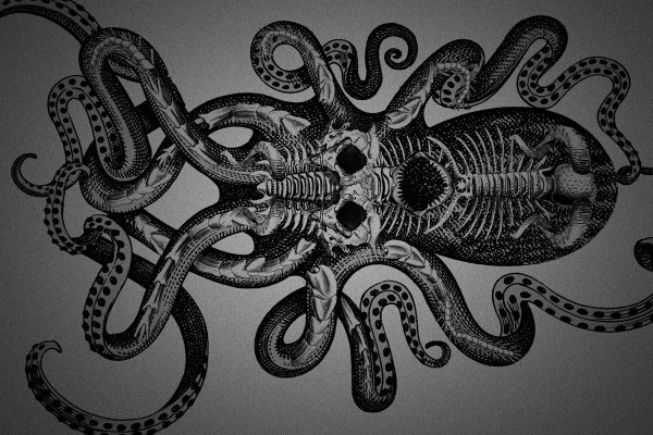 Kraken ссылка kraken clear com