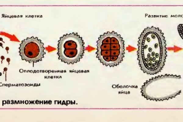 Кракен даркнет зеркало пв