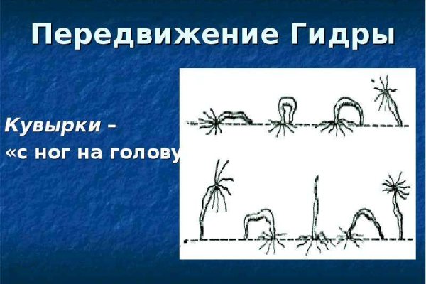 Кракен ссылка список